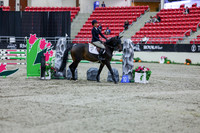 2025 - Shea - Royal West - Thursday October 16th - 09146