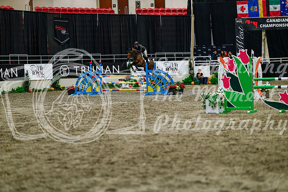 2025 - Haylee - Royal West - Thursday October 16th - 08731