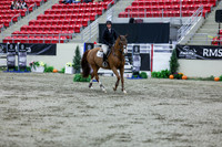 2025 - Shea - Royal West - Thursday October 16th - 10420