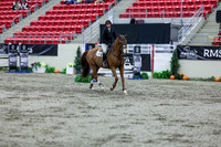 2025 - Shea - Royal West - Thursday October 16th - 10419