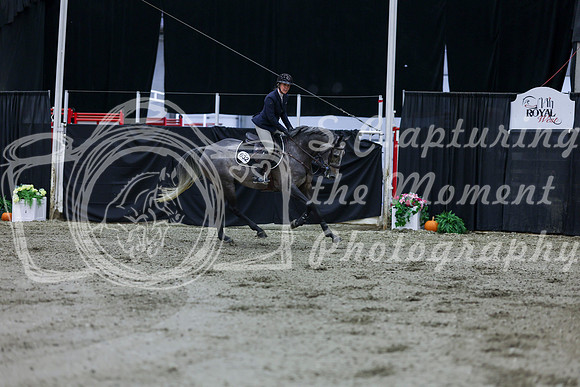 2025 - Shea - Royal West - Thursday October 16th - 09409
