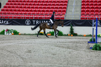 2025 - Shea - Royal West - Thursday October 16th - 09045