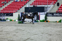 2025 - Shea - Royal West - Thursday October 16th - 09521
