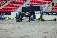 2025 - Shea - Royal West - Thursday October 16th - 09522