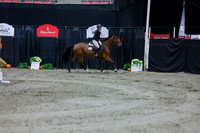 2025 - Shea - Royal West - Thursday October 16th - 09242