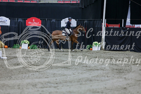 2025 - Shea - Royal West - Thursday October 16th - 09242