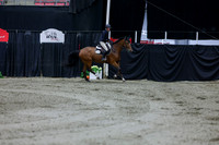 2025 - Shea - Royal West - Thursday October 16th - 09244