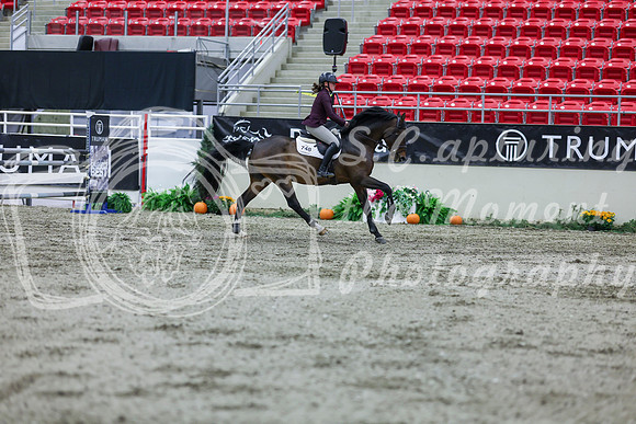 2025 - Shea - Royal West - Thursday October 16th - 10194