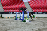 2025 - Shea - Royal West - Thursday October 16th - 10204