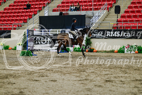 2025 - Haylee - Royal West - Thursday October 16th - 07418