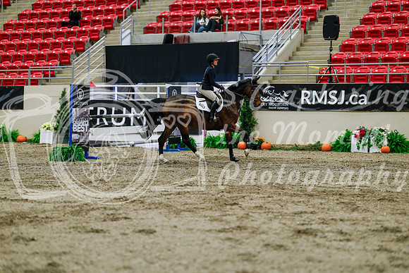 2025 - Haylee - Royal West - Thursday October 16th - 07419