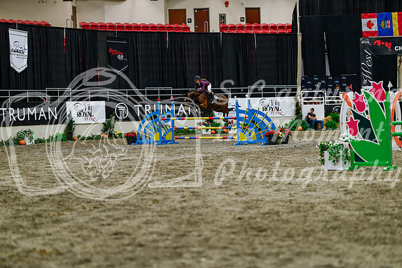 2025 - Haylee - Royal West - Thursday October 16th - 08237