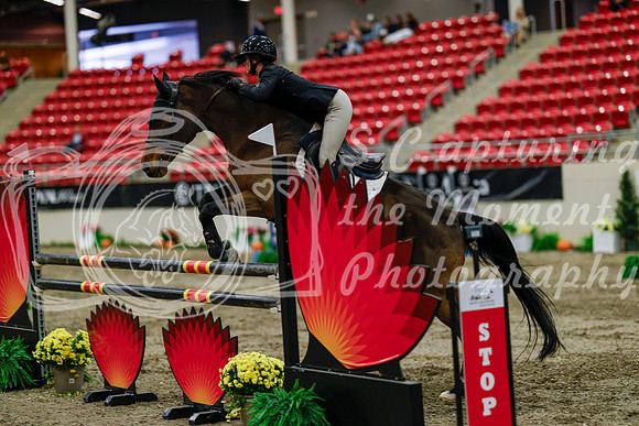 2025 - Haylee - Royal West - Thursday October 16th - 08818