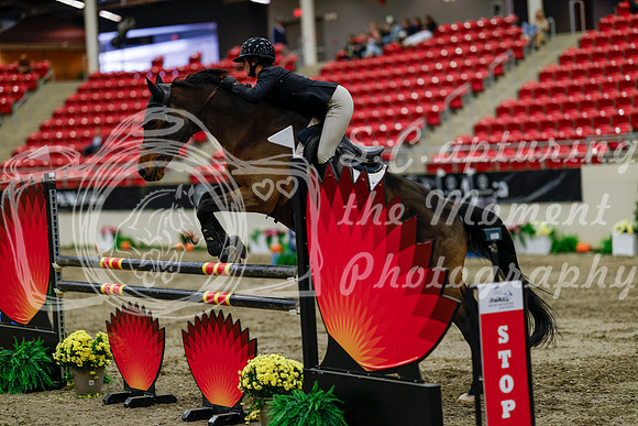 2025 - Haylee - Royal West - Thursday October 16th - 08819