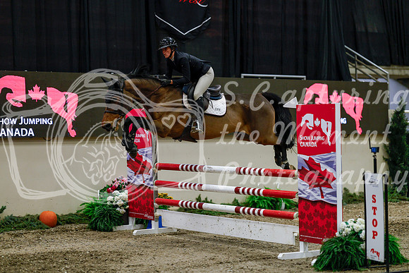 2025 - Haylee - Royal West - Thursday October 16th - 08817