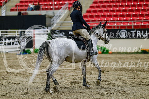 2025 - Haylee - Royal West - Thursday October 16th - 07575