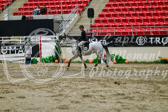 2025 - Haylee - Royal West - Thursday October 16th - 07576