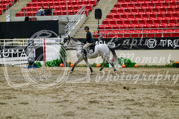 2025 - Haylee - Royal West - Thursday October 16th - 07577