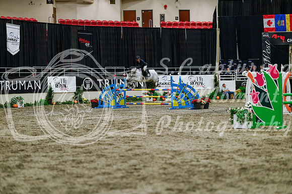 2025 - Haylee - Royal West - Thursday October 16th - 07593