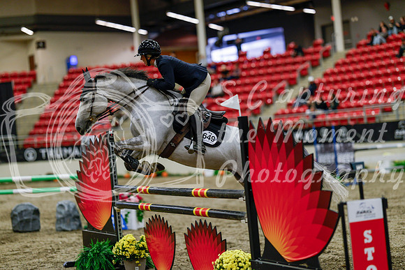 2025 - Haylee - Royal West - Thursday October 16th - 07604