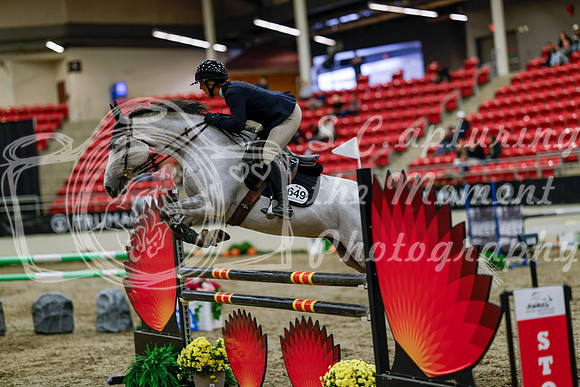 2025 - Haylee - Royal West - Thursday October 16th - 07605