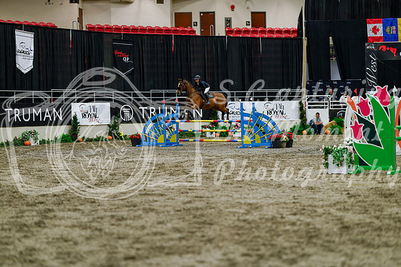 2025 - Haylee - Royal West - Thursday October 16th - 07658