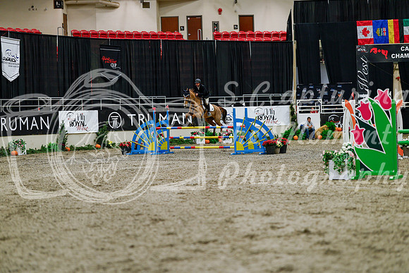 2025 - Haylee - Royal West - Thursday October 16th - 06785
