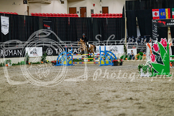 2025 - Haylee - Royal West - Thursday October 16th - 06786