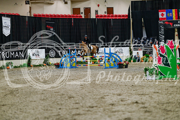 2025 - Haylee - Royal West - Thursday October 16th - 06788
