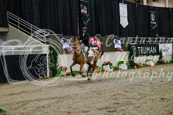2025 - Haylee - Royal West - Thursday October 16th - 06791