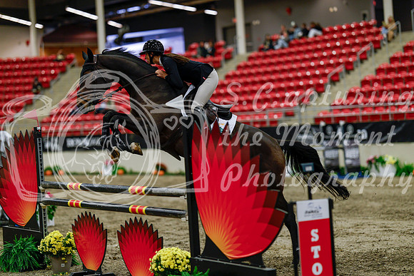2025 - Haylee - Royal West - Thursday October 16th - 08678