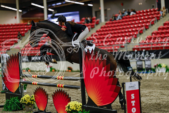 2025 - Haylee - Royal West - Thursday October 16th - 08679