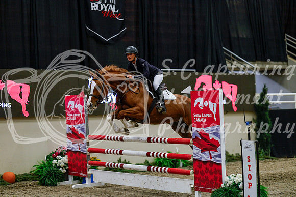 2025 - Haylee - Royal West - Thursday October 16th - 08378