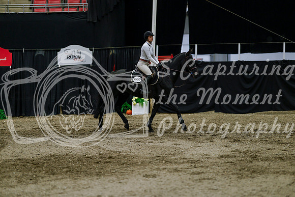 2025 - Haylee - Royal West - Thursday October 16th - 08159