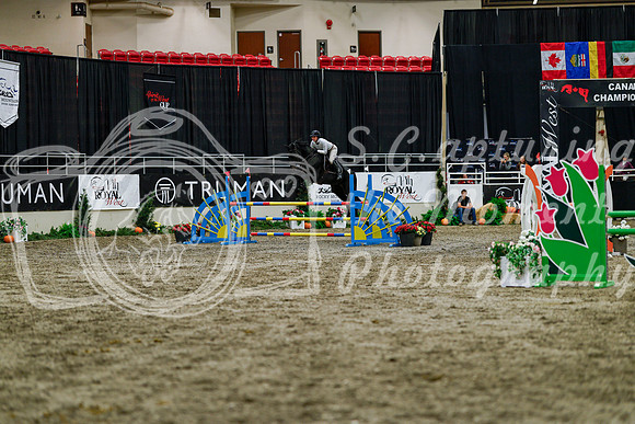 2025 - Haylee - Royal West - Thursday October 16th - 08173