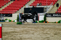 2025 - Haylee - Royal West - Thursday October 16th - 08101