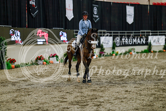 2025 - Haylee - Royal West - Thursday October 16th - 07813
