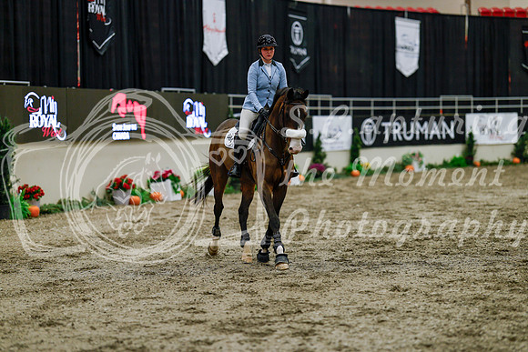 2025 - Haylee - Royal West - Thursday October 16th - 07814