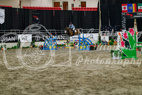 2025 - Haylee - Royal West - Thursday October 16th - 07829