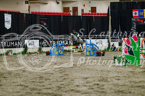 2025 - Haylee - Royal West - Thursday October 16th - 07057