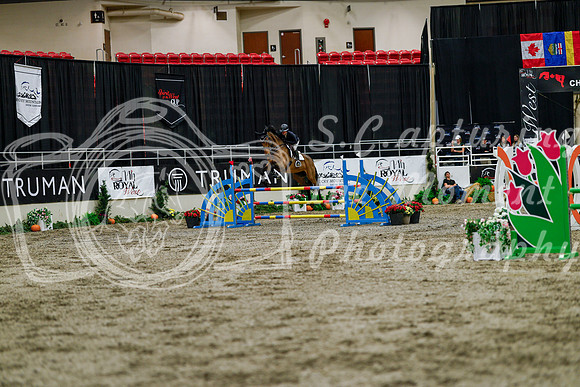 2025 - Haylee - Royal West - Thursday October 16th - 07229