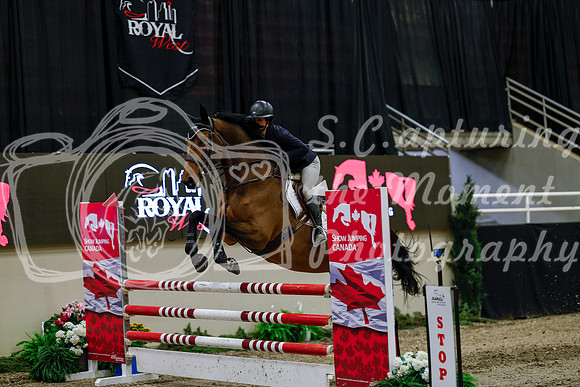 2025 - Haylee - Royal West - Thursday October 16th - 07233