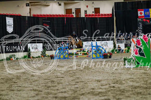 2025 - Haylee - Royal West - Thursday October 16th - 07232