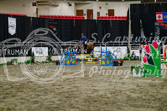2025 - Haylee - Royal West - Thursday October 16th - 07978