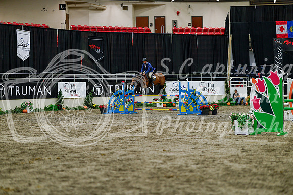 2025 - Haylee - Royal West - Thursday October 16th - 07979