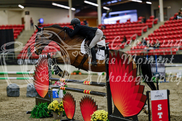 2025 - Haylee - Royal West - Thursday October 16th - 07311