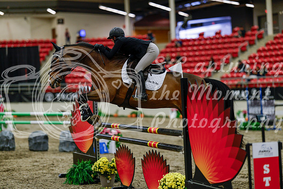 2025 - Haylee - Royal West - Thursday October 16th - 07313