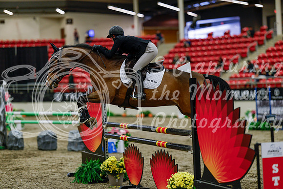 2025 - Haylee - Royal West - Thursday October 16th - 07314