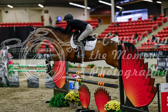 2025 - Haylee - Royal West - Thursday October 16th - 07315