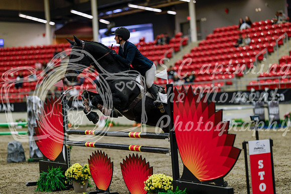 2025 - Haylee - Royal West - Thursday October 16th - 07001